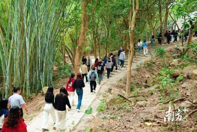 一专线来五桂山解锁“绿野仙踪”麻将胡了2试玩模拟器一山一道(图4)